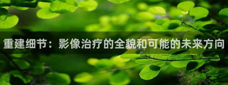 金牌影院电视剧免费观看：重建细节：影像治疗的全貌和可能的未来方向