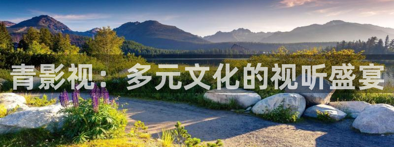 金牌影院官网入口电影在线观看：青影视：多元文化的视听盛宴