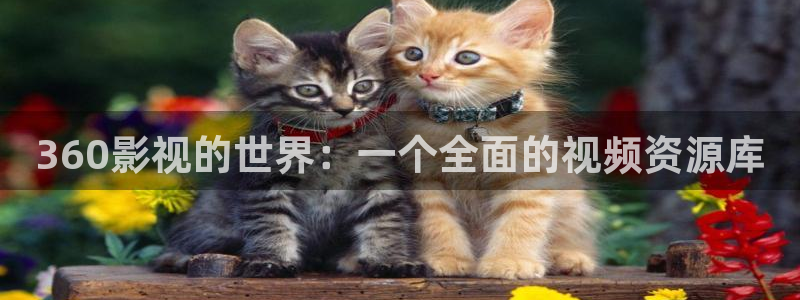金牌影视免费观看：360影视的世界：一个全面的视频资源库