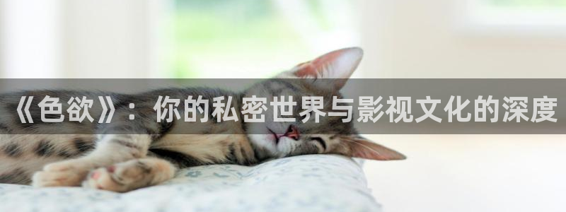 金牌影视免费观看：《色欲》：你的私密世界与影视文化的深度