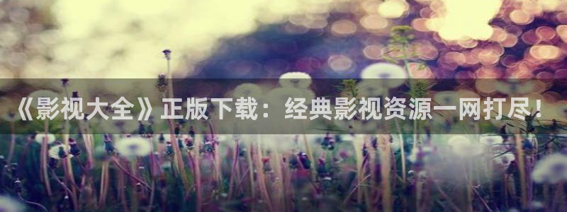 金牌特遣队电影免费观看：《影视大全》正版下载：经典影视资源一网打尽！