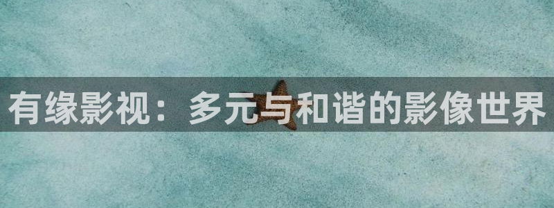 金牌影视官网入口最新：有缘影视：多元与和谐的影像世界