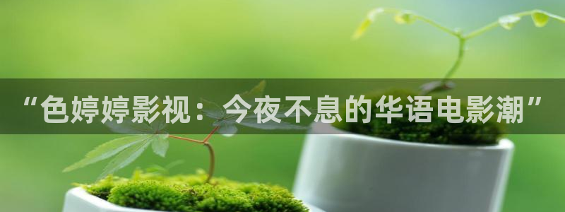 金牌影：“色婷婷影视：今夜不息的华语电影潮”