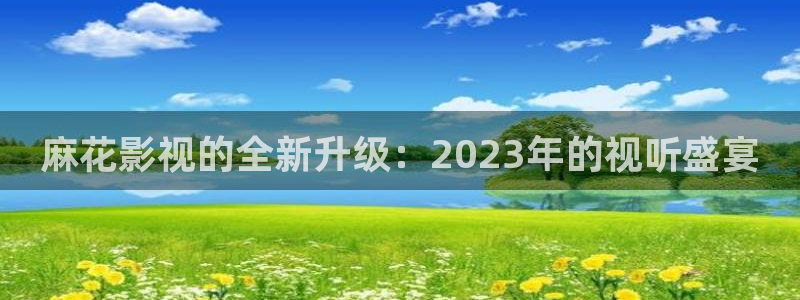 金牌特勤队 电影：麻花影视的全新升级：2023年的视听盛宴