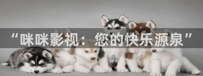金牌视频：“咪咪影视：您的快乐源泉”
