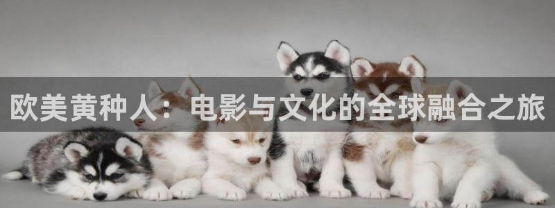 金牌影视app官方下载：欧美黄种人：电影与文化的全球融合之旅